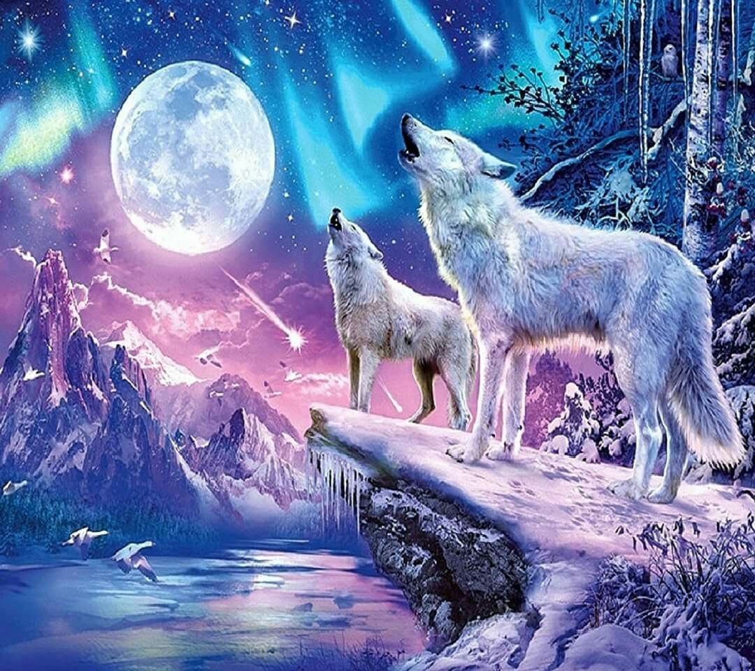 Spirit Beautiful Wolf Wallpapers