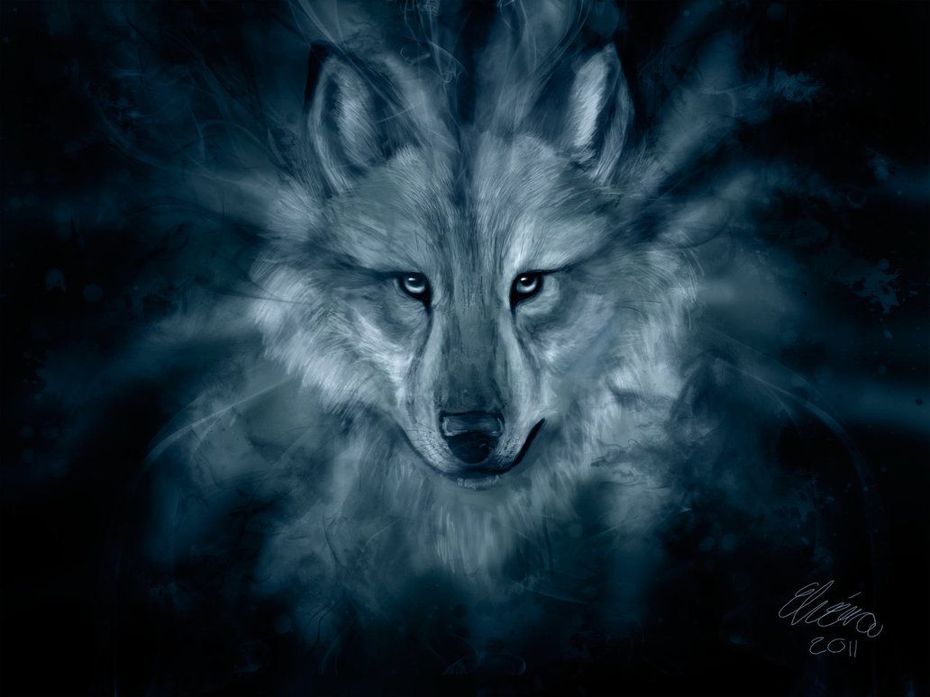 Spirit Beautiful Wolf Wallpapers