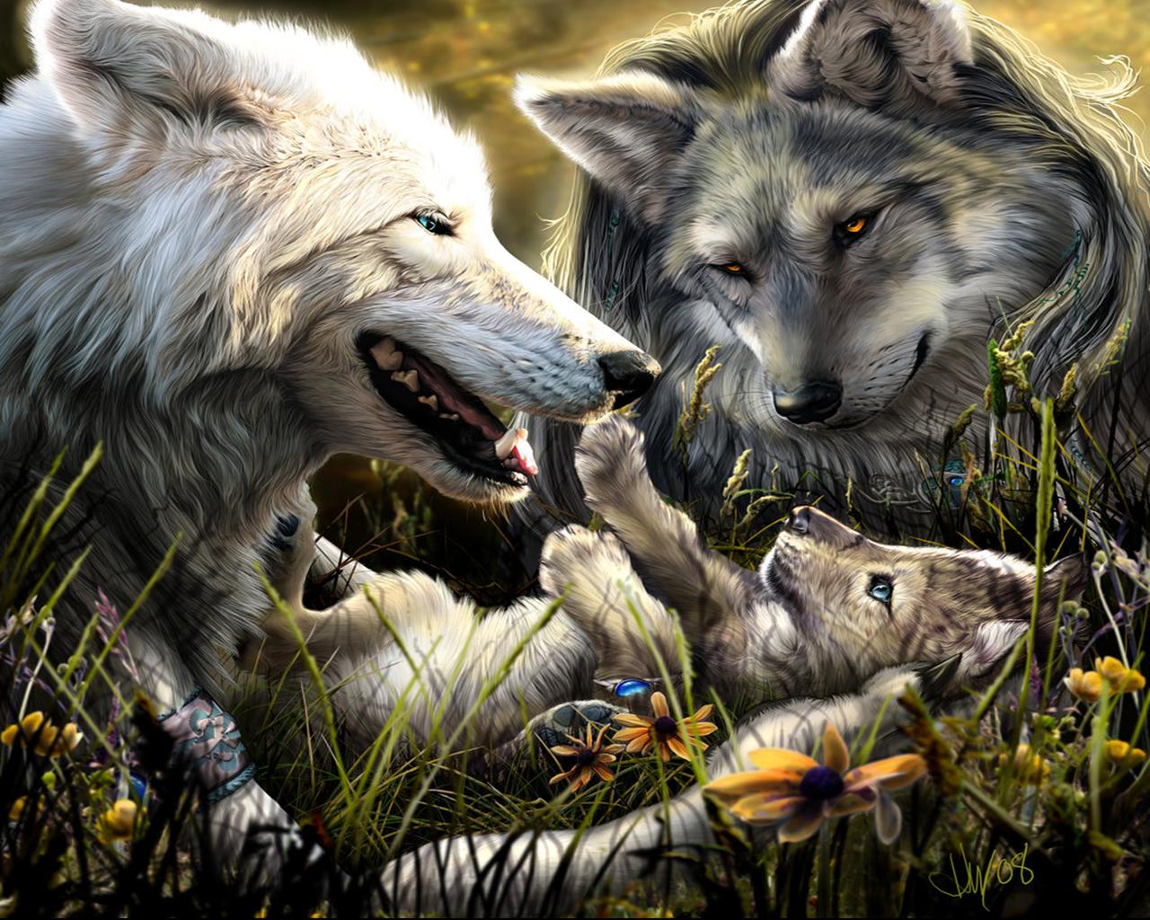 Spirit Beautiful Wolf Wallpapers