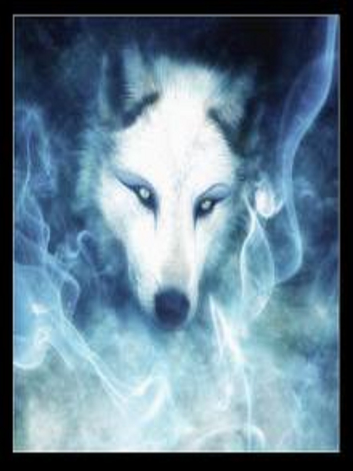 Spirit Beautiful Wolf Wallpapers