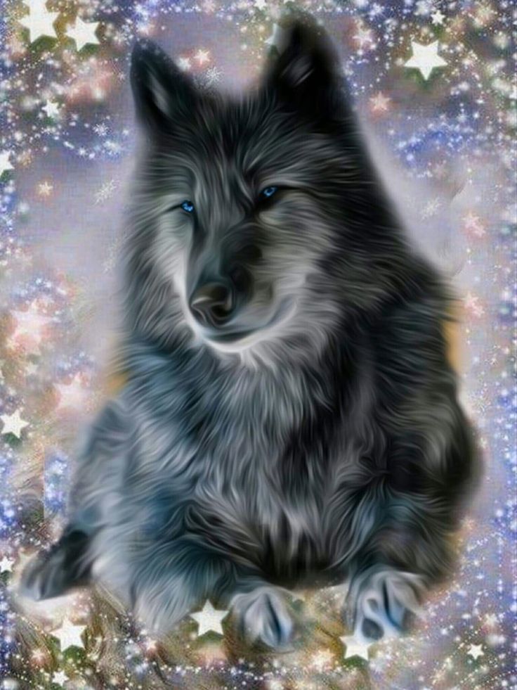 Spirit Beautiful Wolf Wallpapers