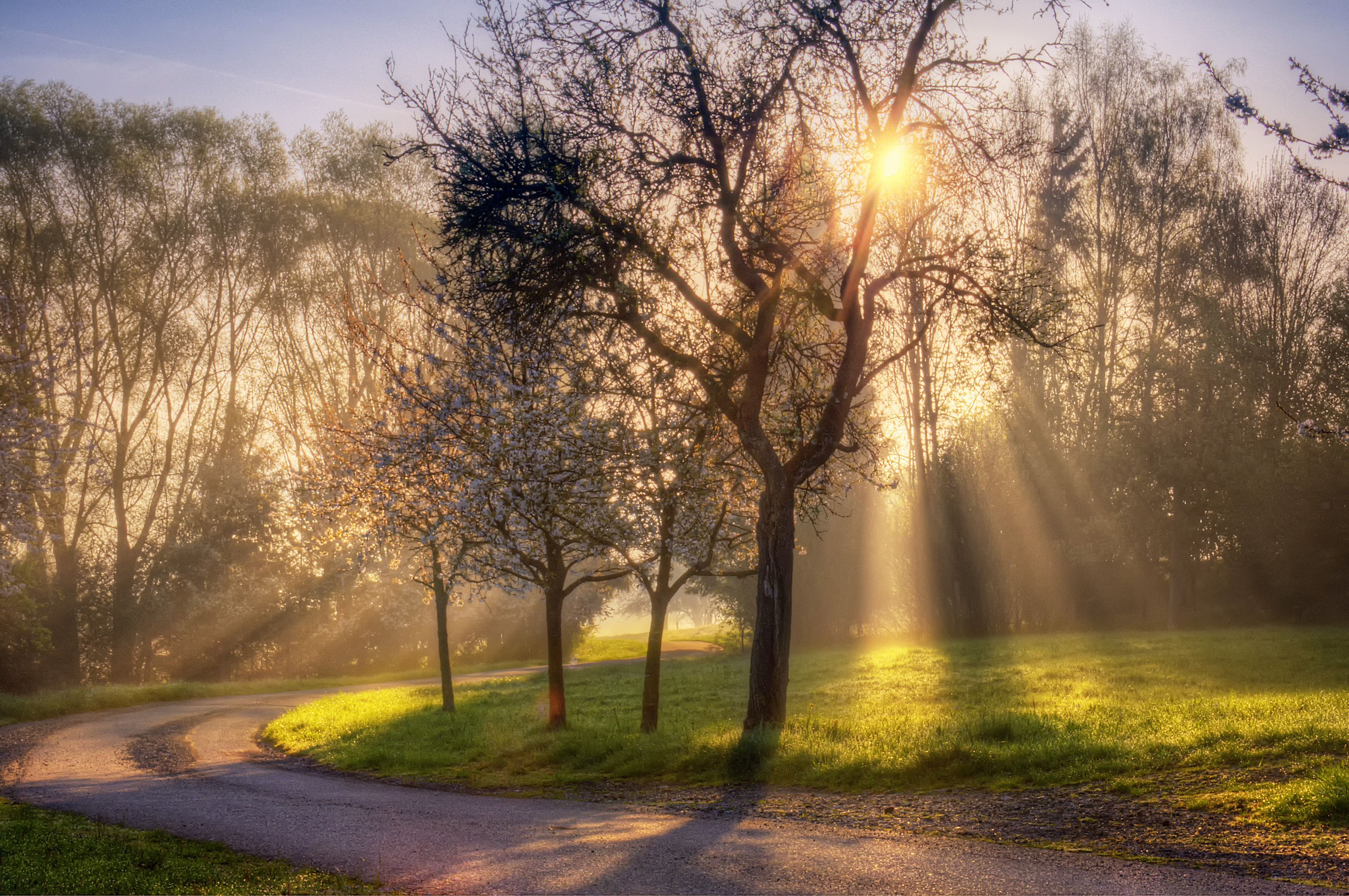 Spring Morning Images Wallpapers