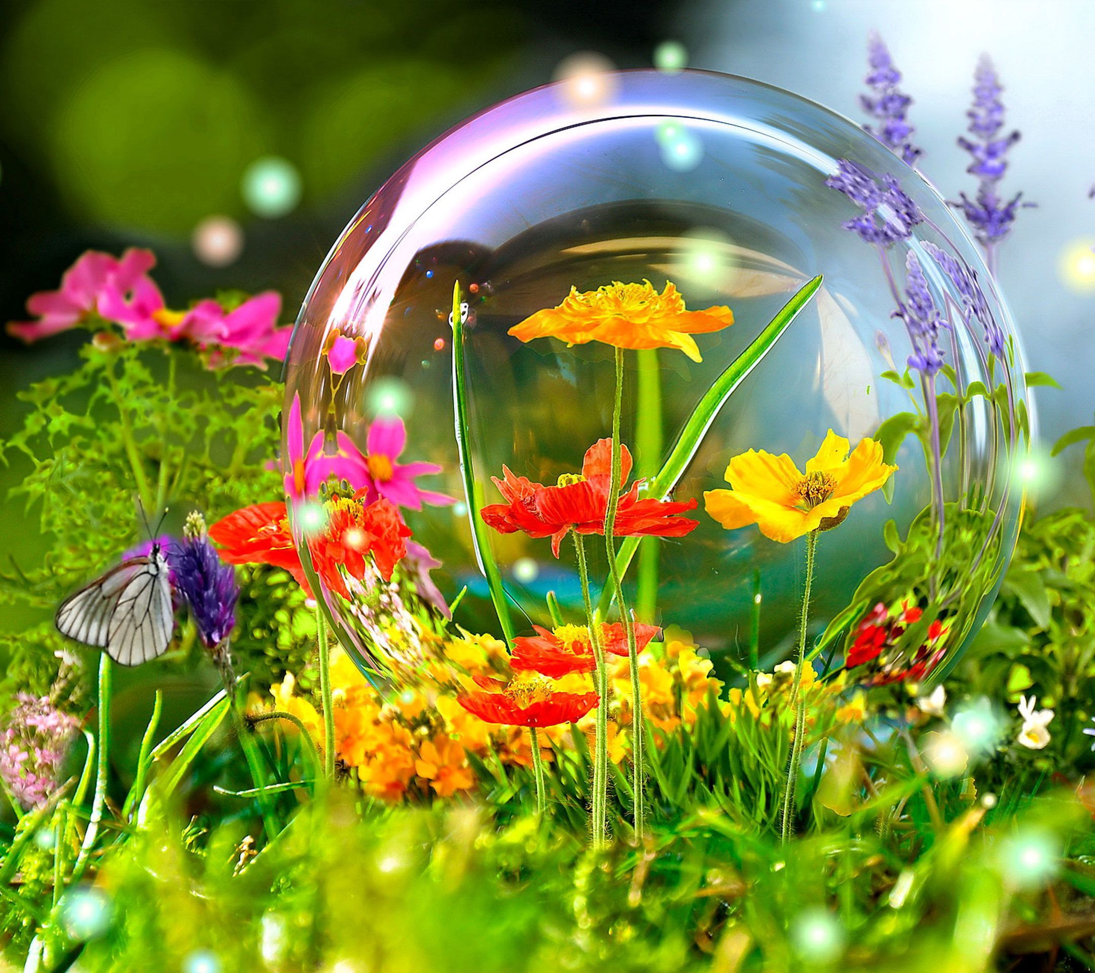 Spring Scenes Photos Wallpapers