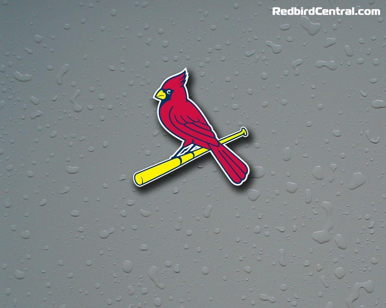 St Louis Cardinals For Android Wallpapers