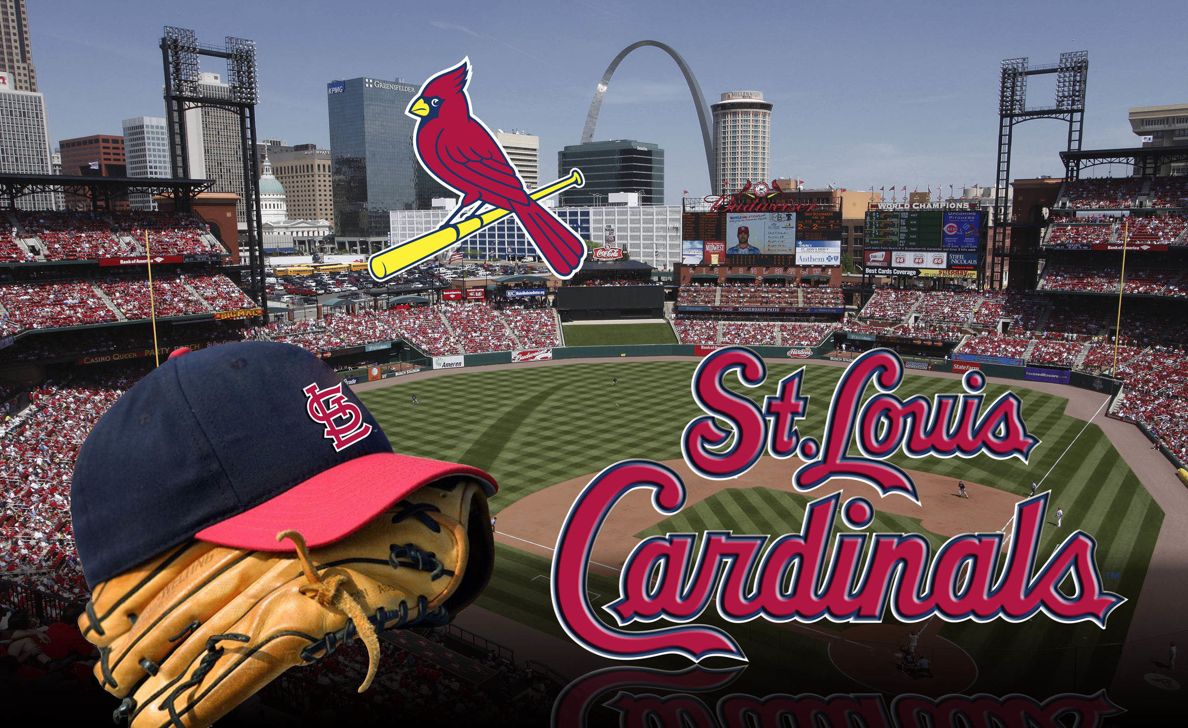 St Louis Cardinals For Android Wallpapers