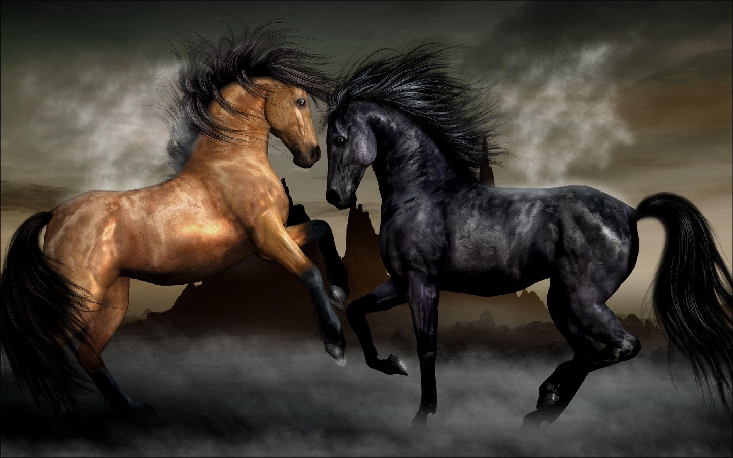 Stallion Wallpapers