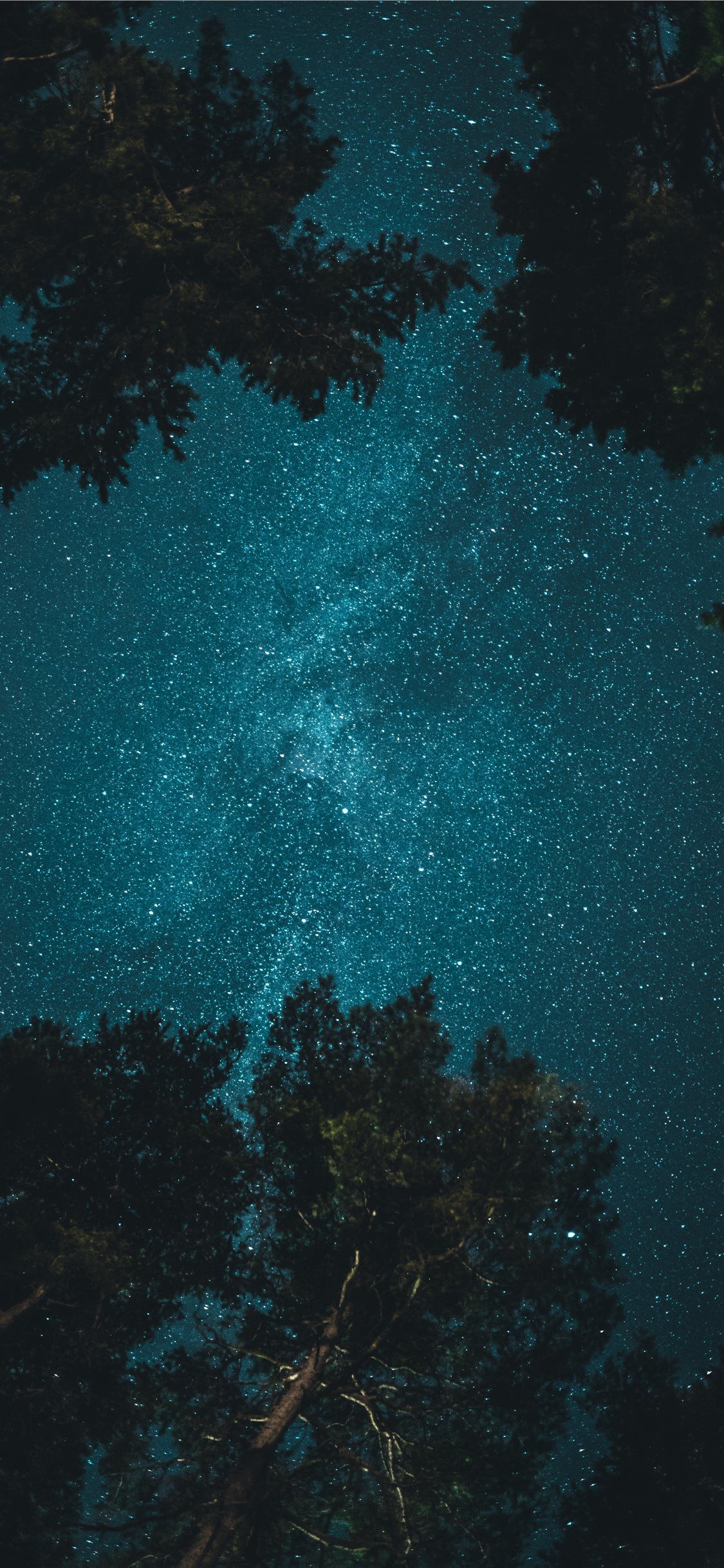 Starry Night Wallpapers