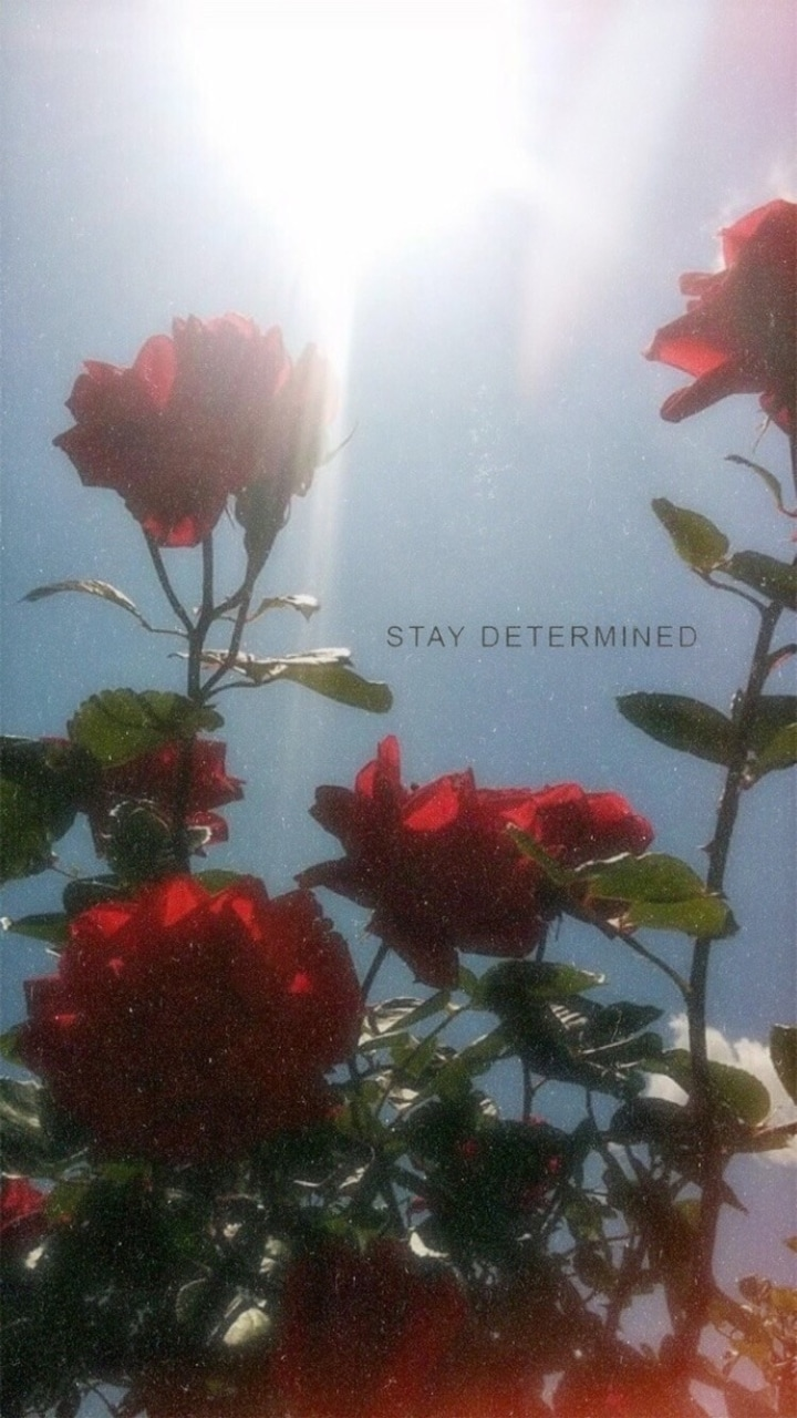 Stay Determined Wallpapers