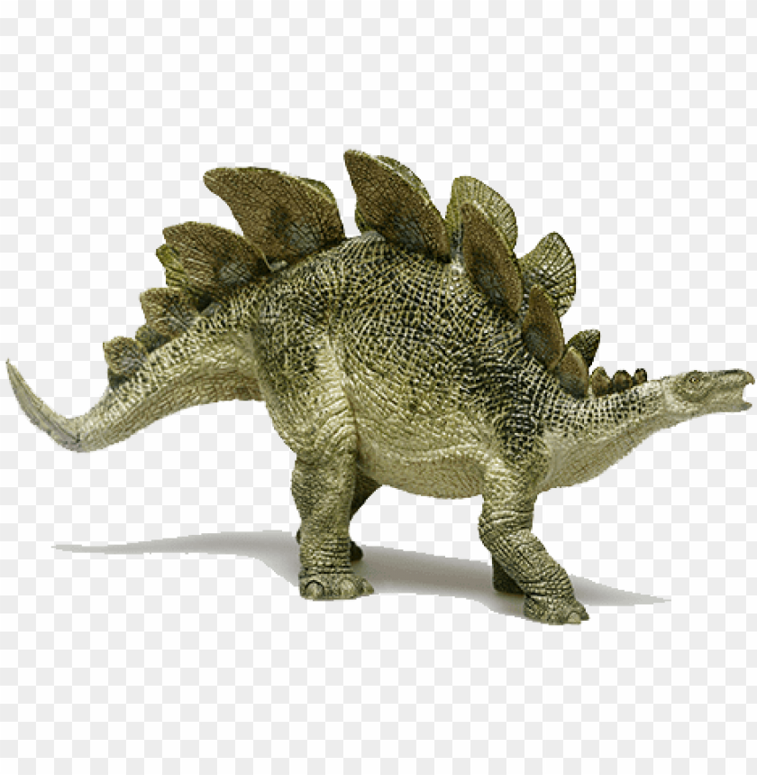 Stegosaurus Wallpapers