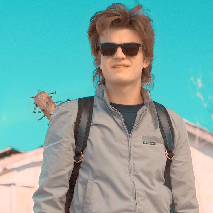 Steve Harrington Wallpapers