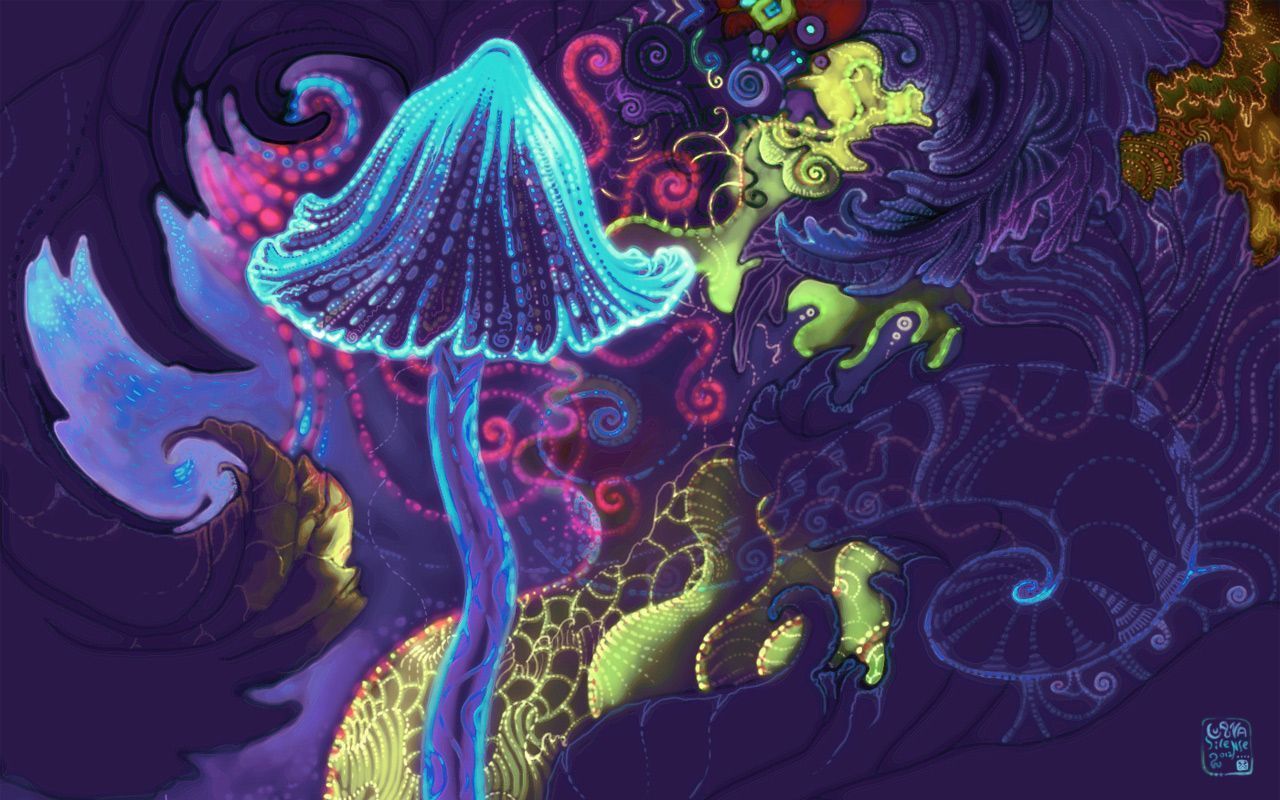 Stoner Trippy Mushroom Wallpapers