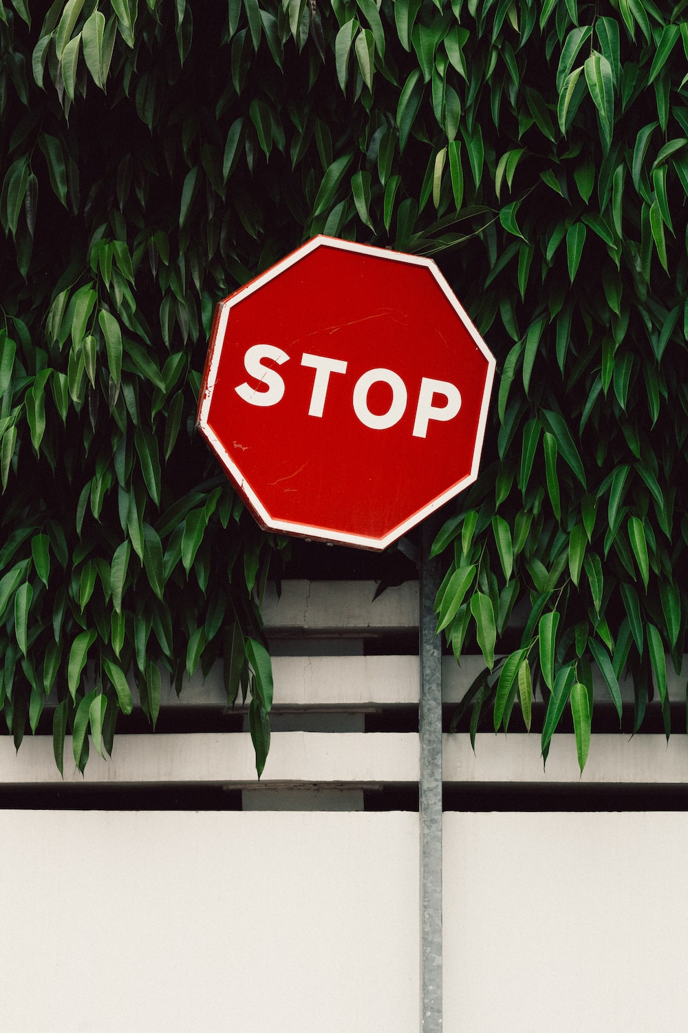 Stop Wallpapers