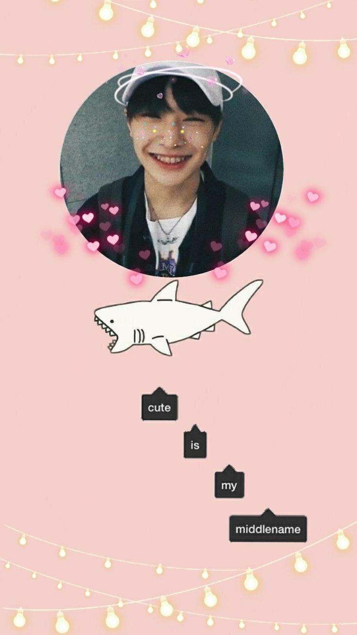 Stray Kids Cute Wallpapers