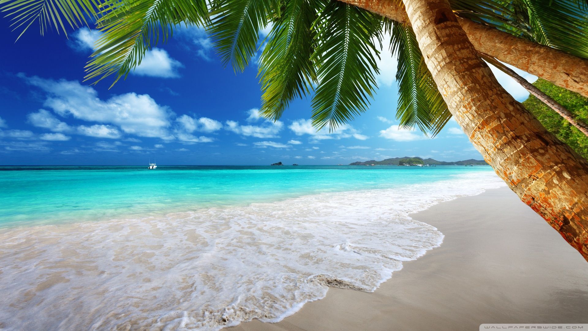 Summer Beach Paradise Wallpapers