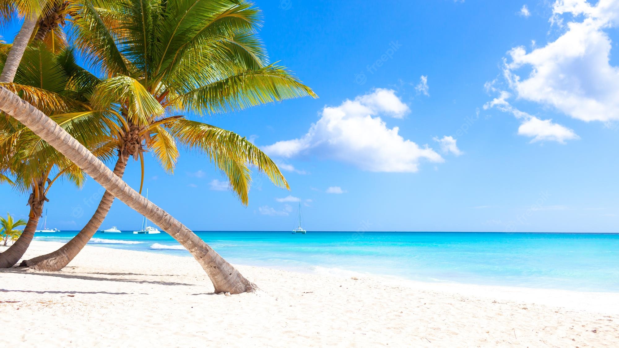 Summer Beach Paradise Wallpapers