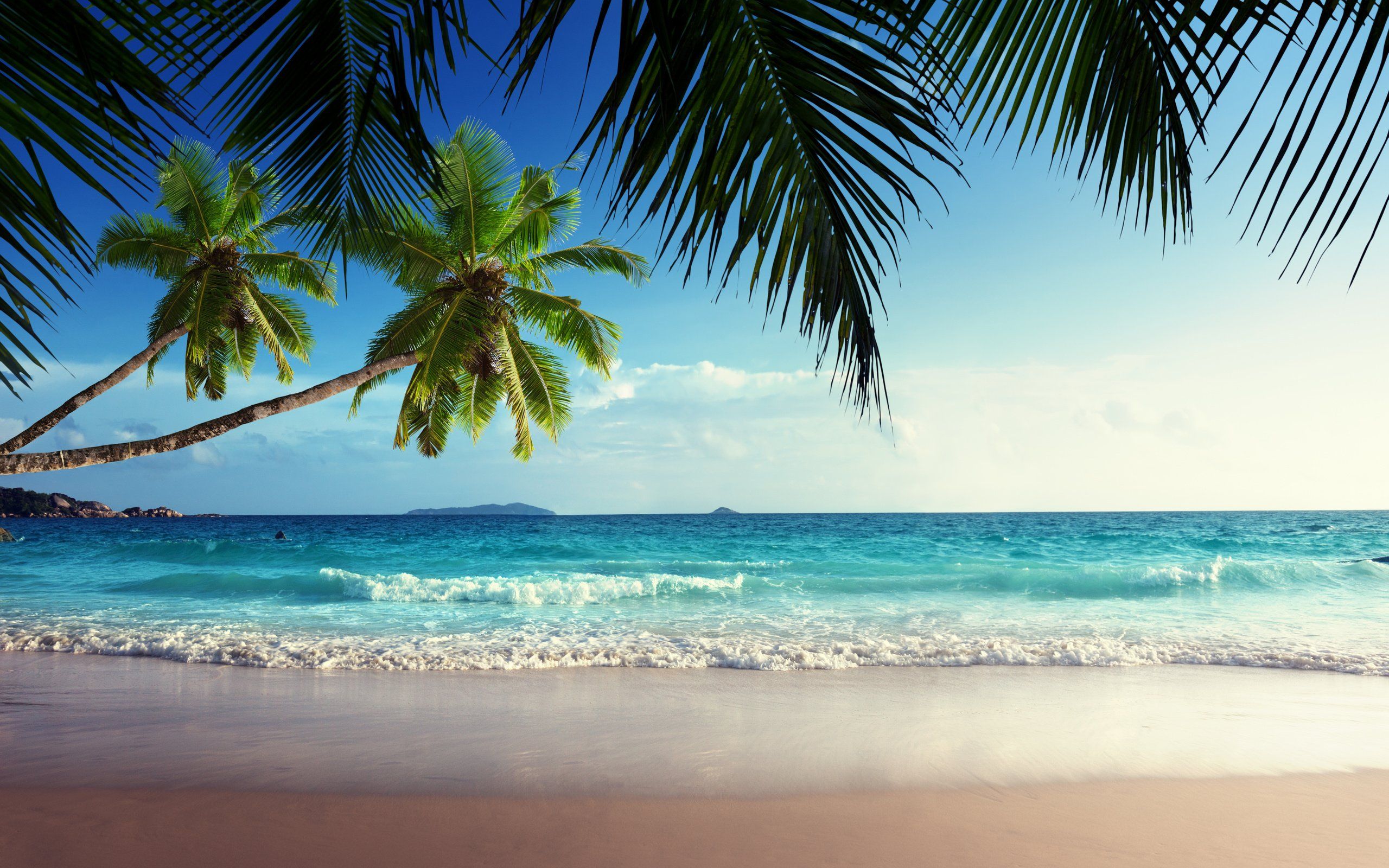 Summer Beach Paradise Wallpapers