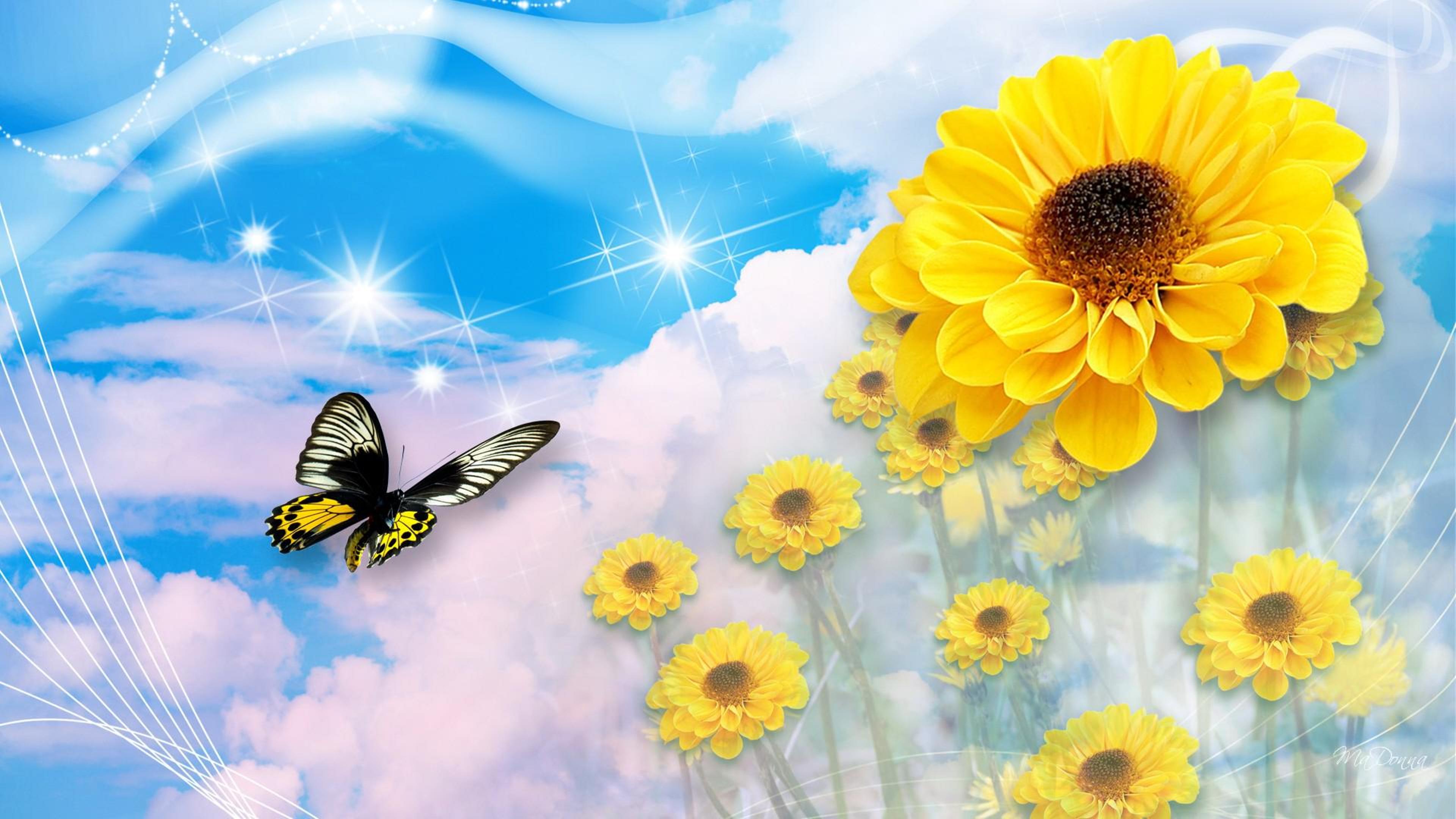 Sunflower And Butterfly Wallpapers