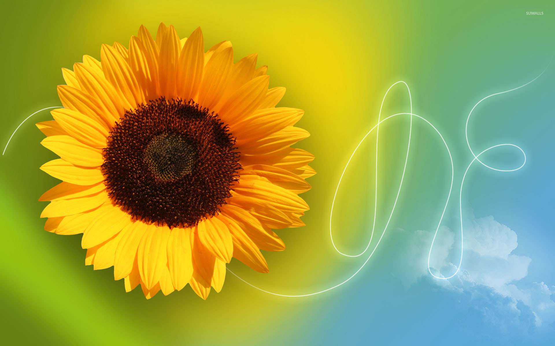 Sunflower Art Wallpapers