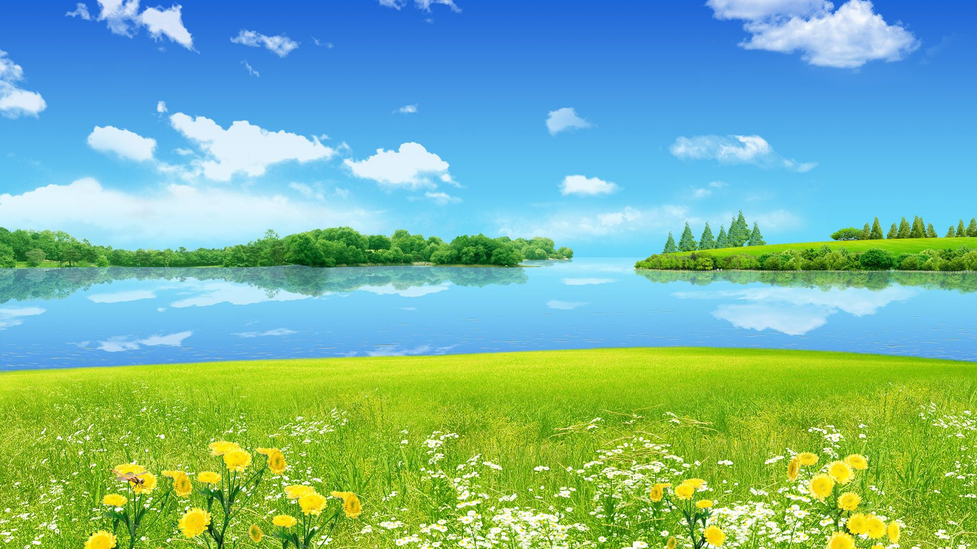 Sunny Nature Wallpapers