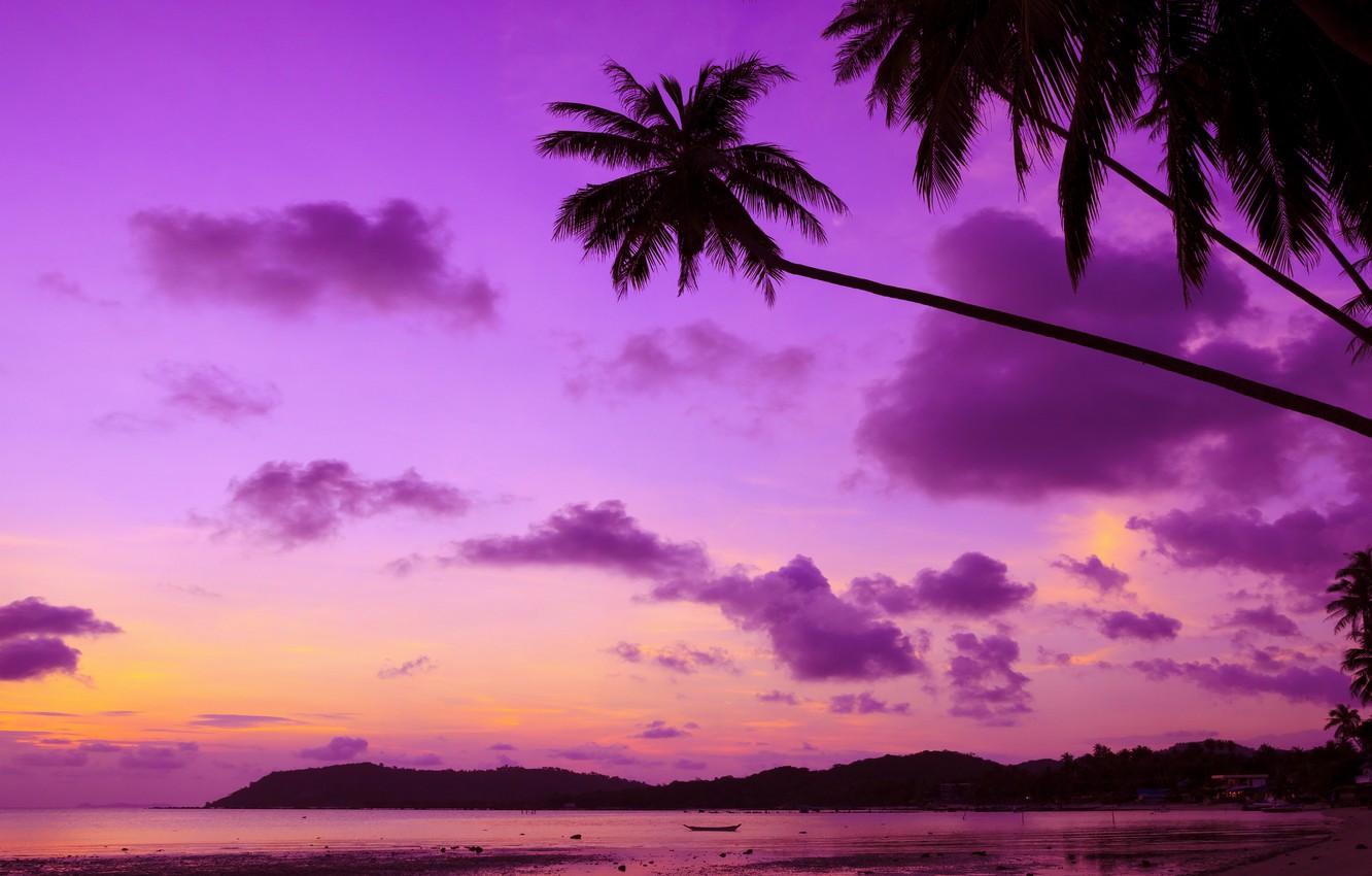 Sunset Purple Ocean Wallpapers