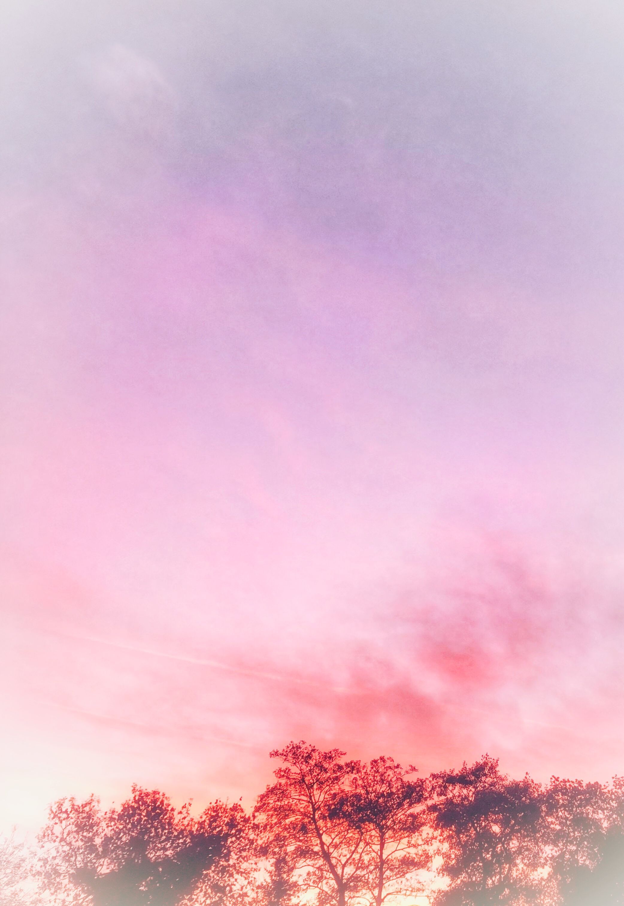 Sunset Sky Wallpapers