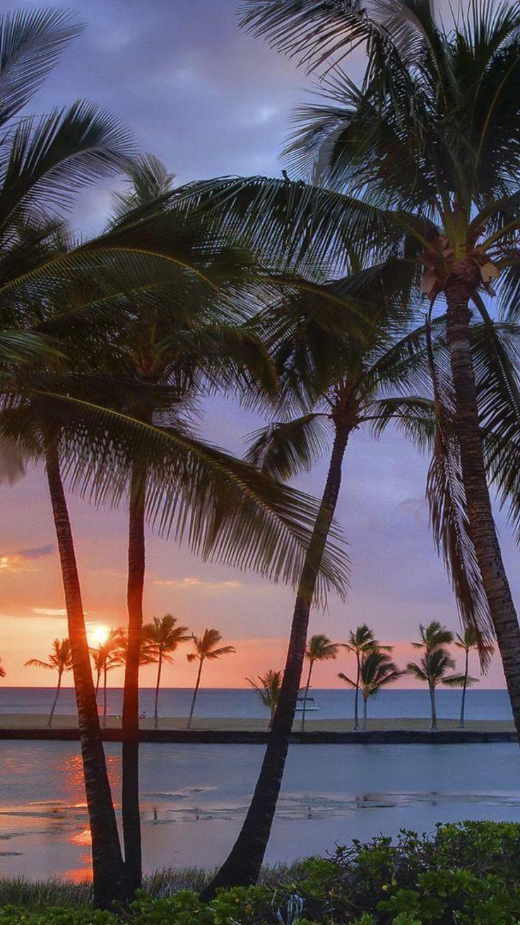 Sunset Hawaii Wallpapers