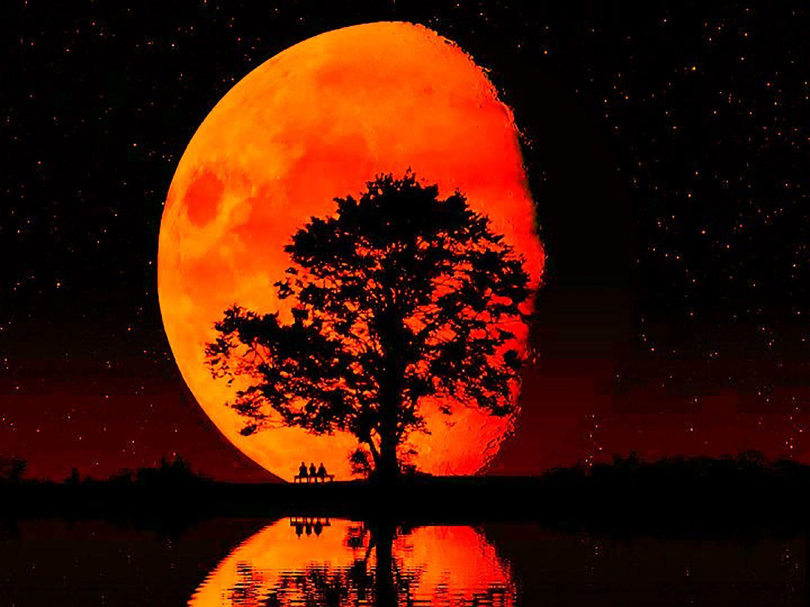 Super Moon Wallpapers