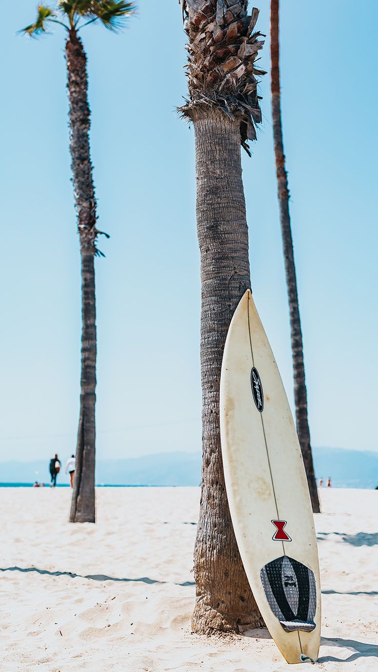 Surf Iphone Wallpapers