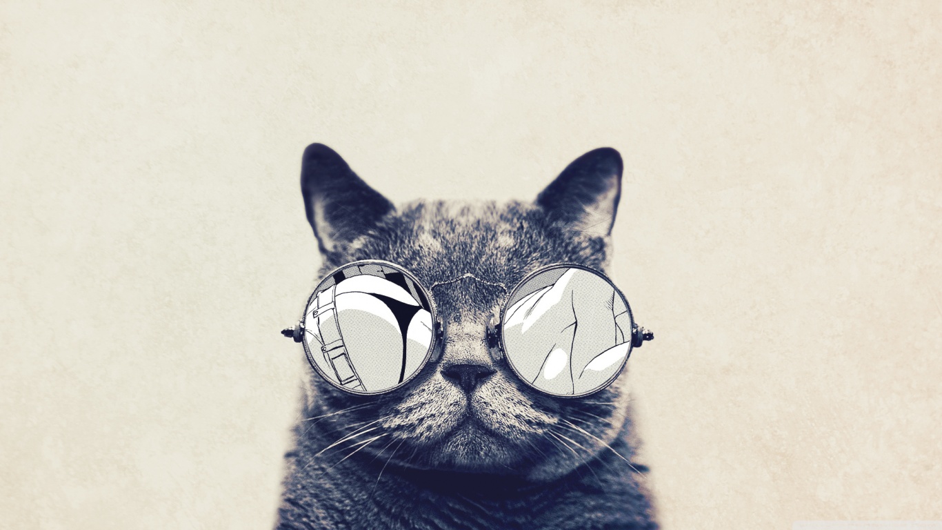 Swag Cat Wallpapers