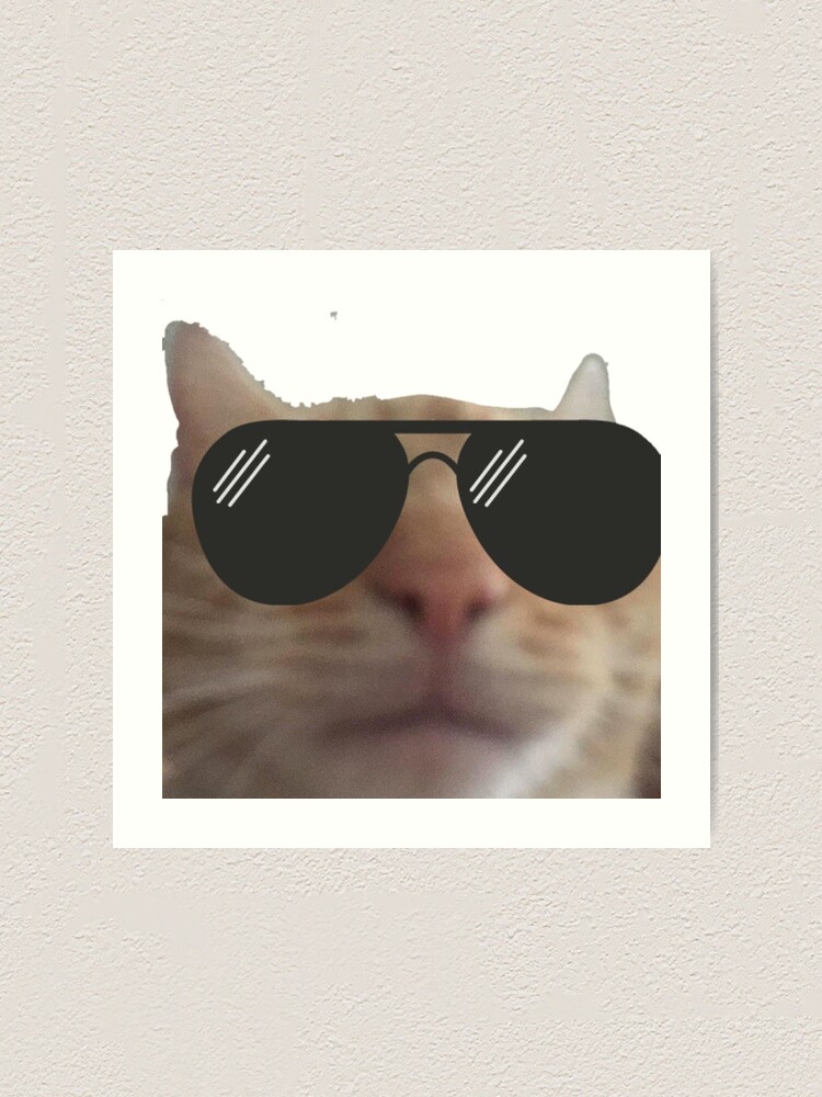 Swag Cat Wallpapers