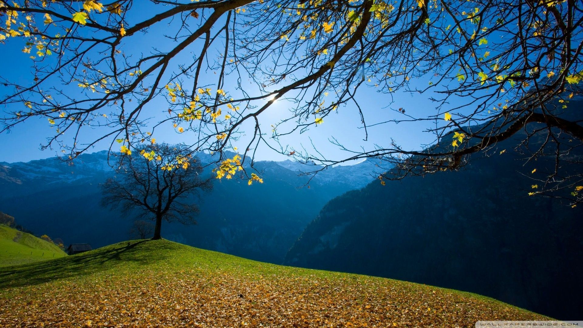 Switzerland Fall Wallpapers