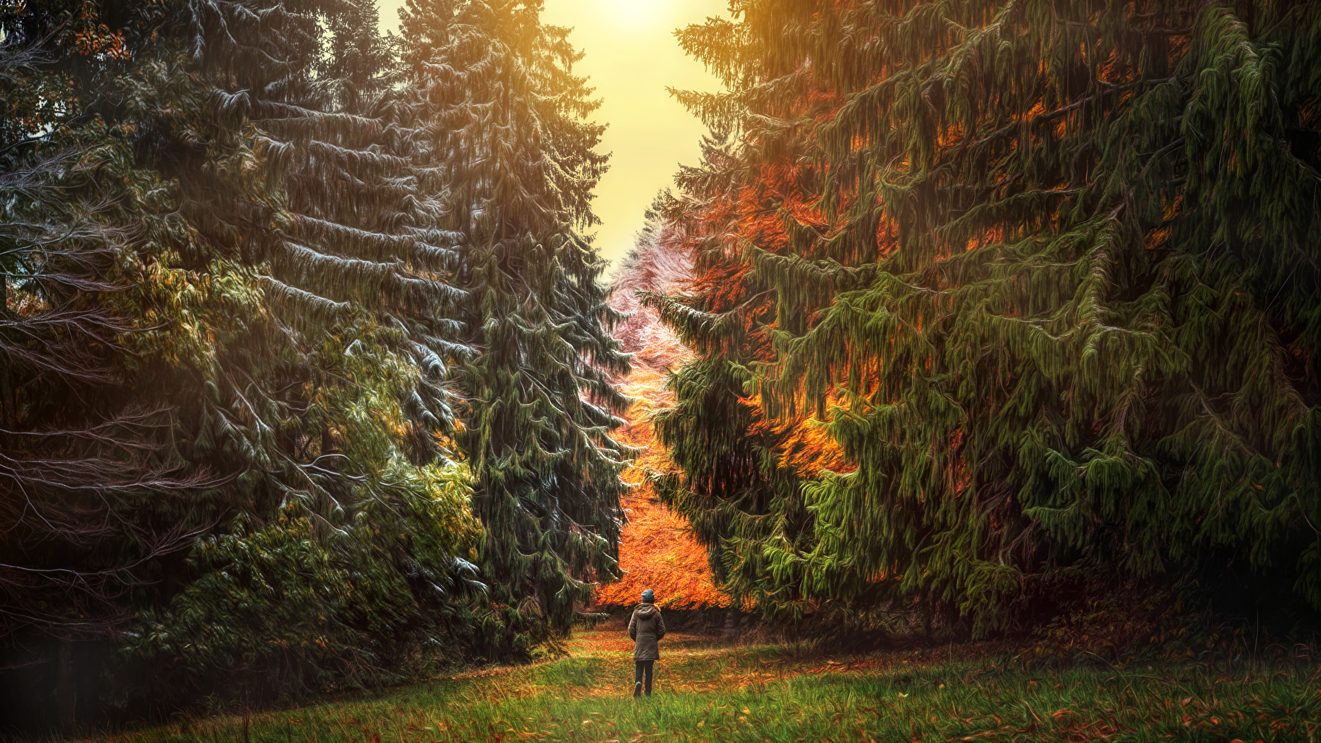 Switzerland Fall Wallpapers