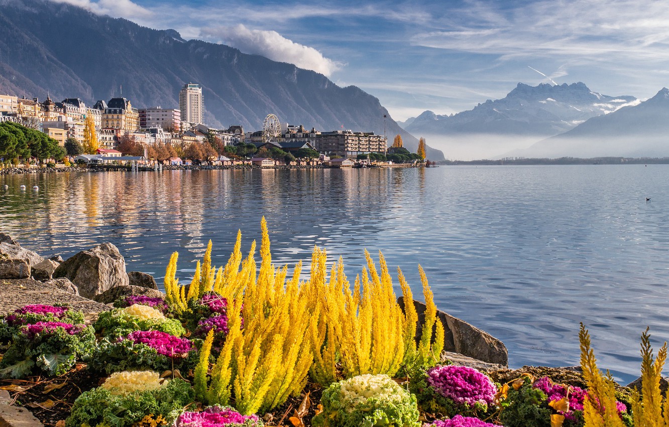 Switzerland Flower Garden Wallpapers