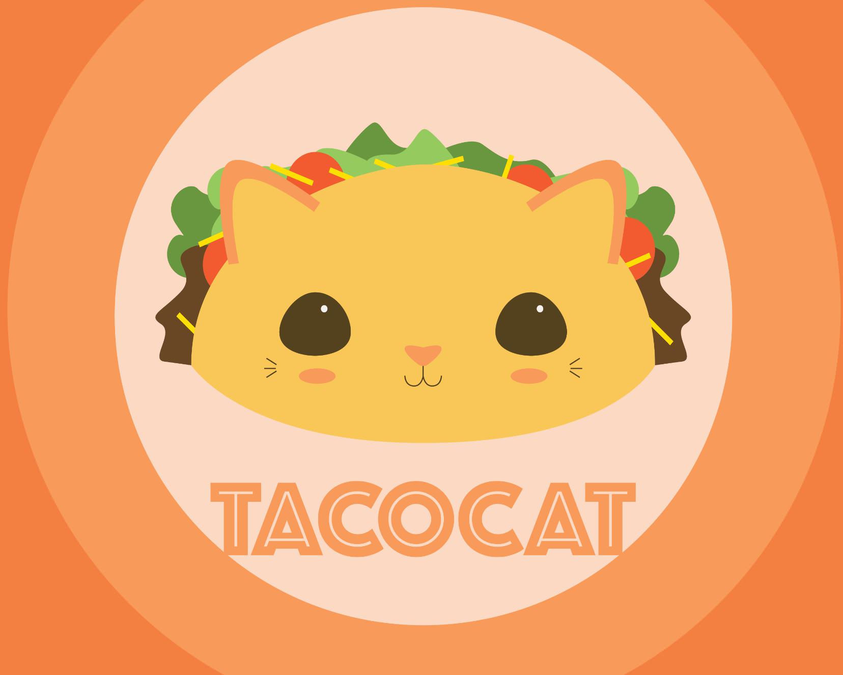 Taco Cat Wallpapers