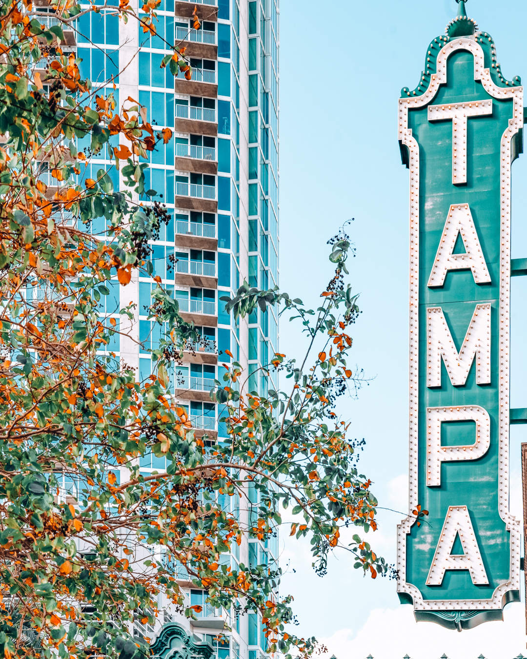 Tampa Aesthetic Wallpapers