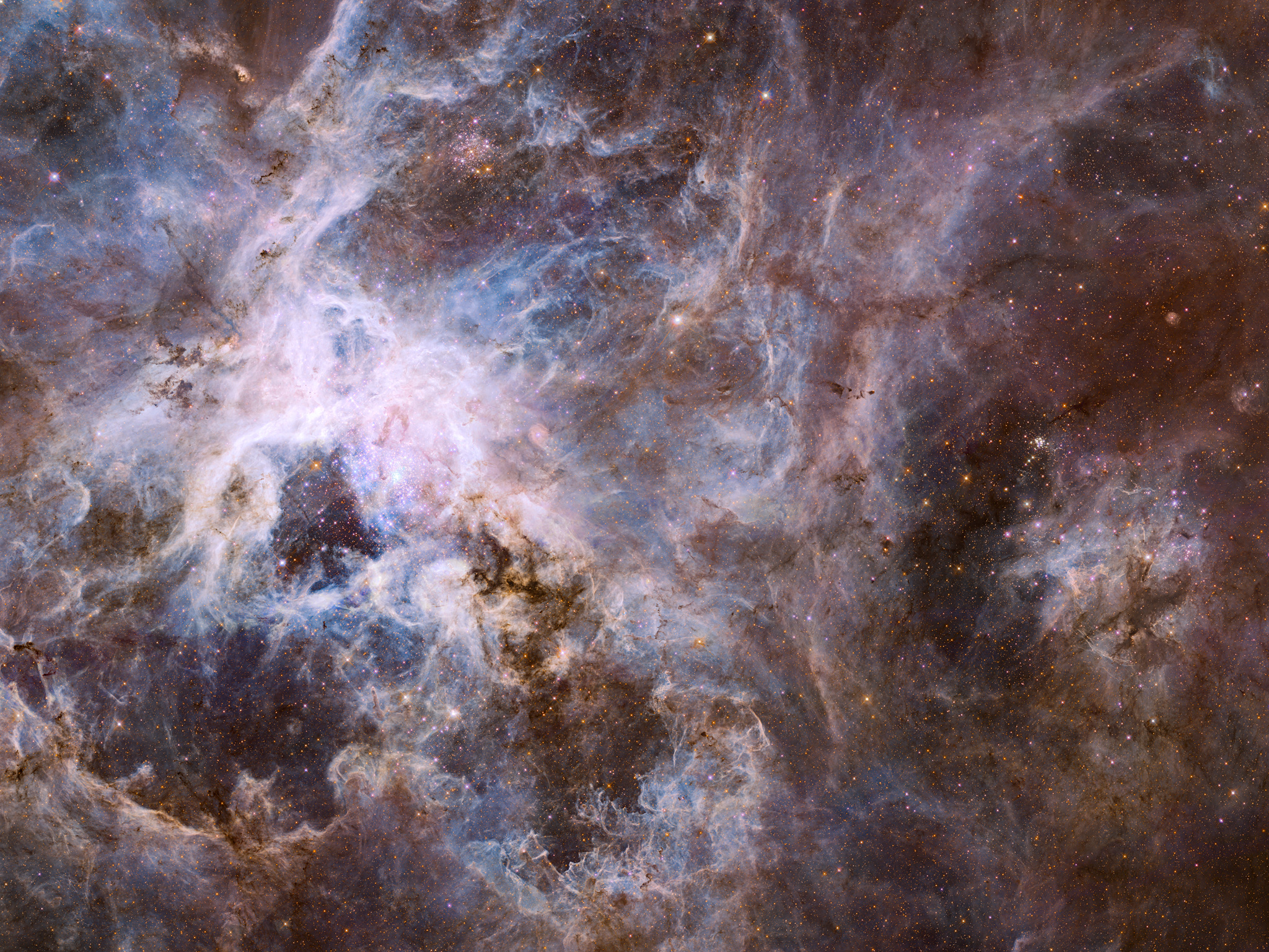 Tarantula Nebula Wallpapers