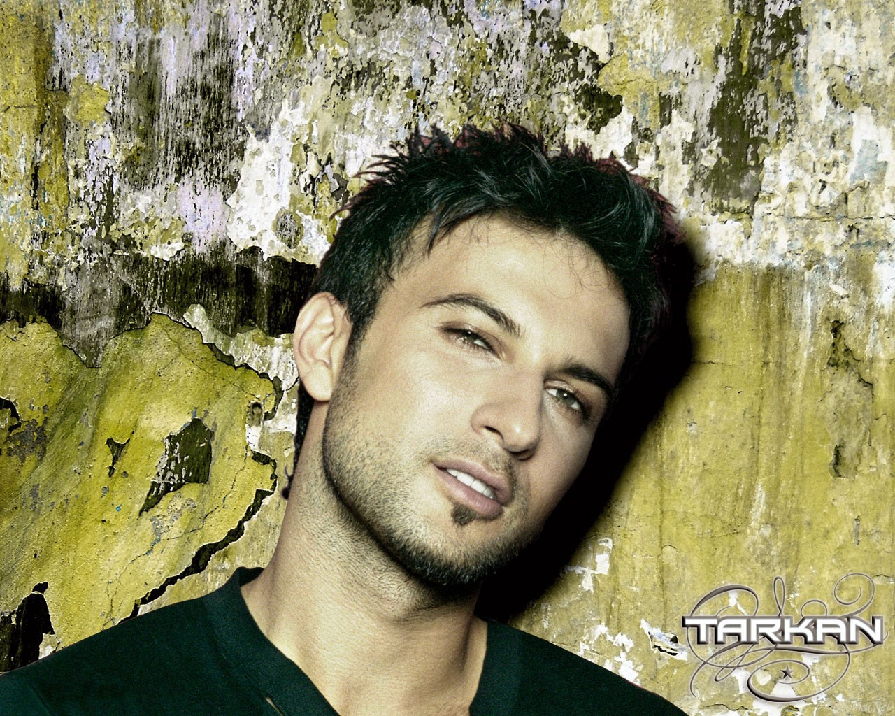 Tarkan Pictures Wallpapers