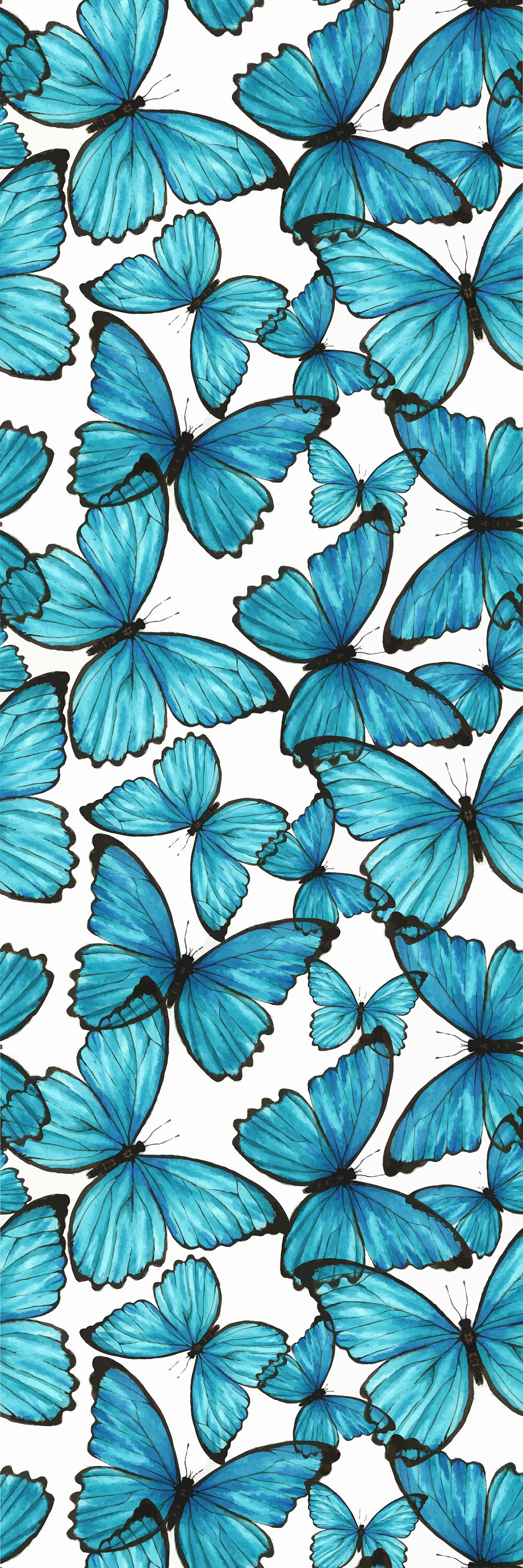 Teal Butterfly Wallpapers