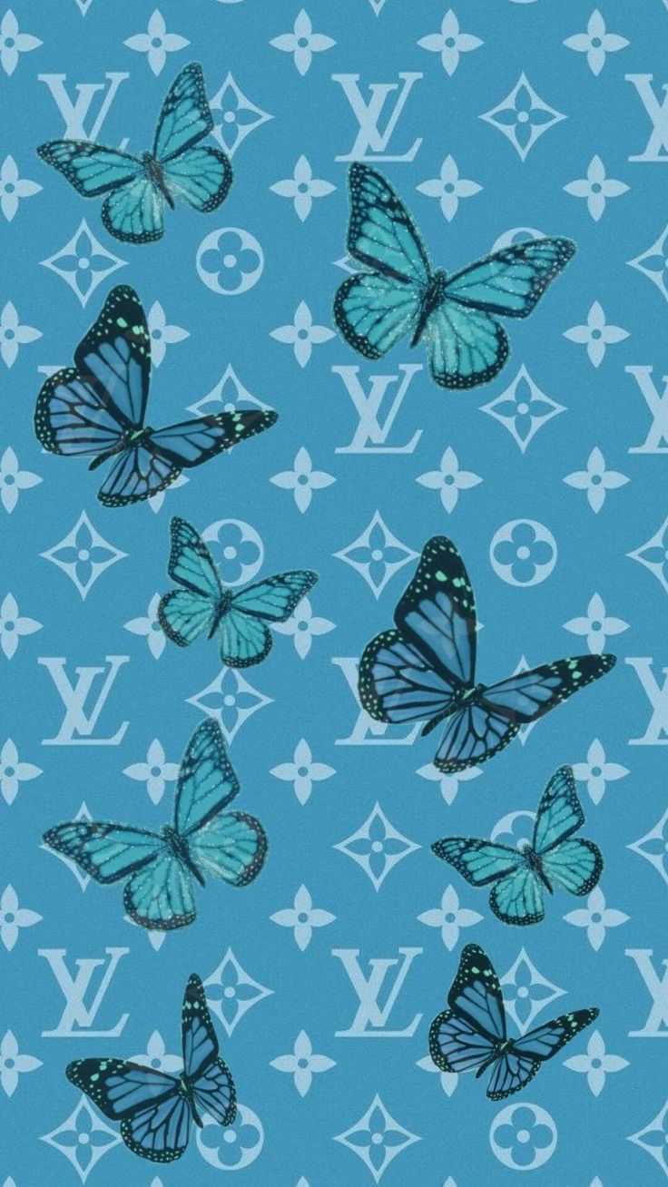 Teal Butterfly Wallpapers