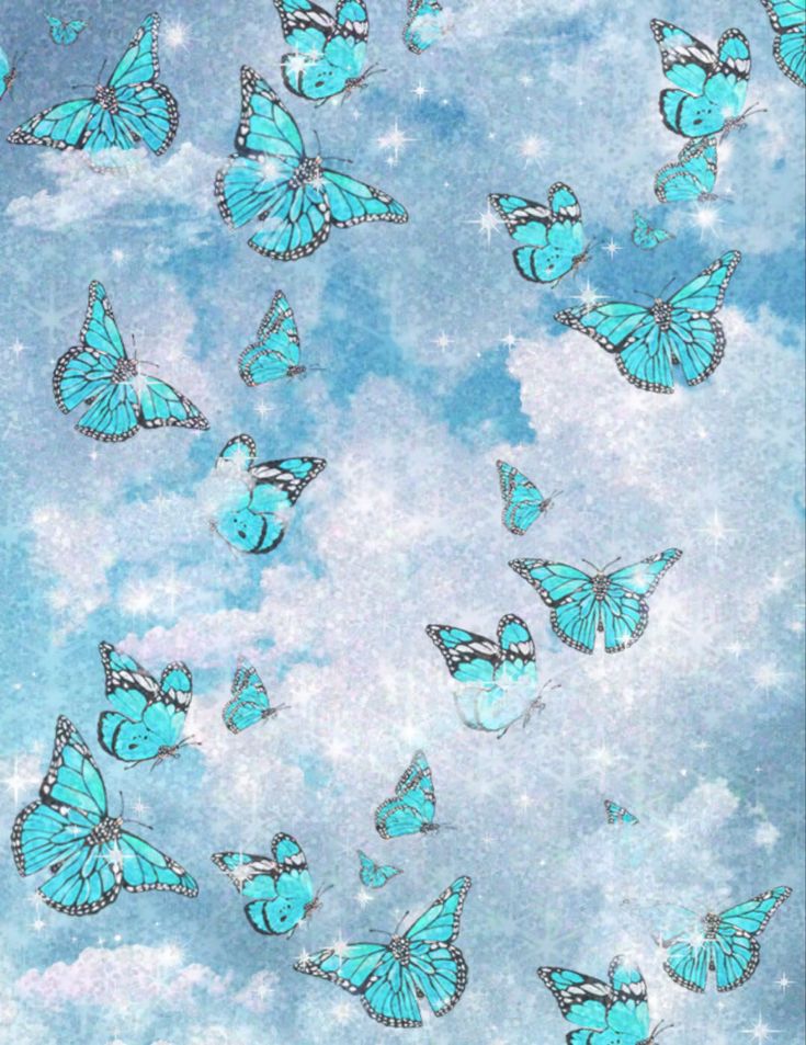 Teal Butterfly Wallpapers