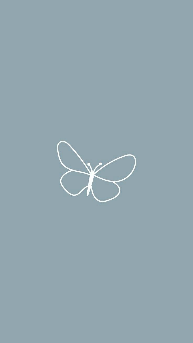 Teal Butterfly Wallpapers