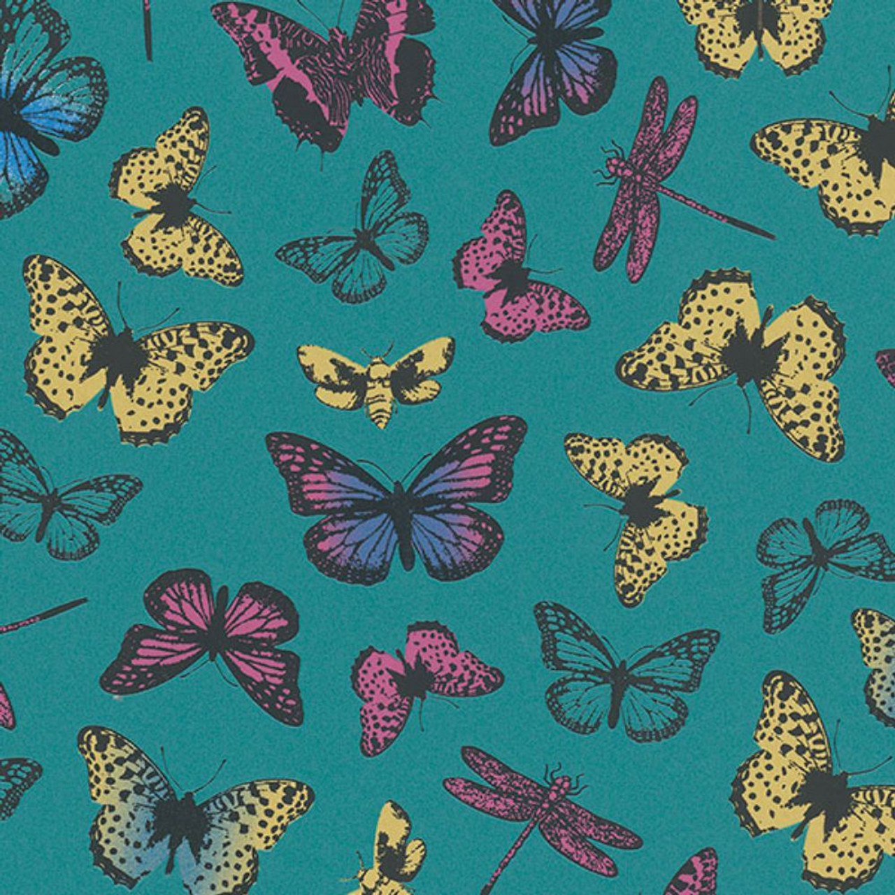 Teal Butterfly Wallpapers