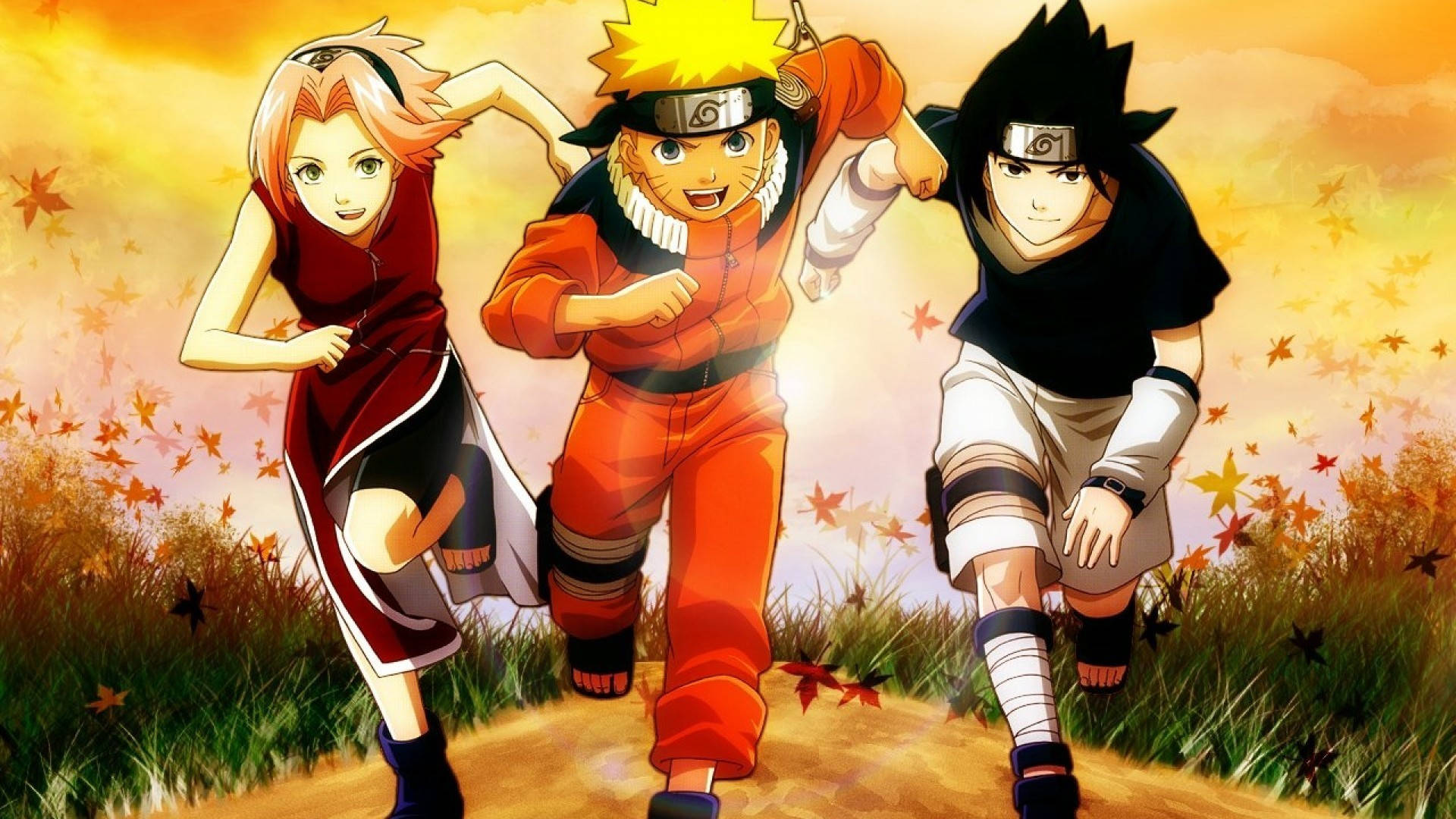 Team 7 Wallpapers