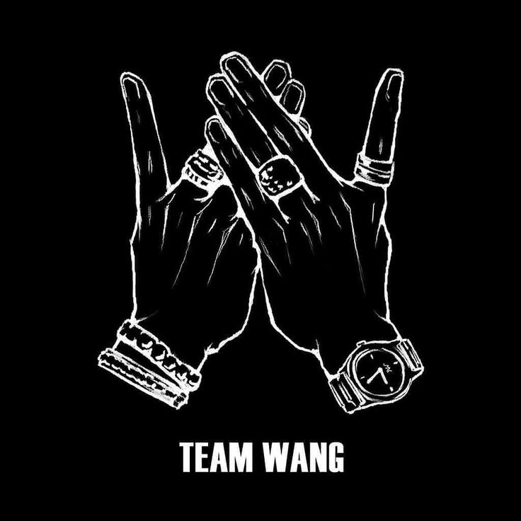 Team Wang Logo Wallpapers