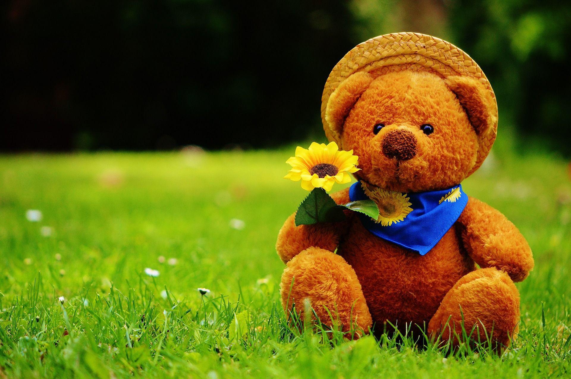 Teddy Bear Wallpapers