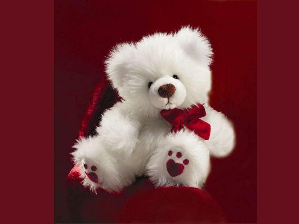 Teddy Bear Wallpapers