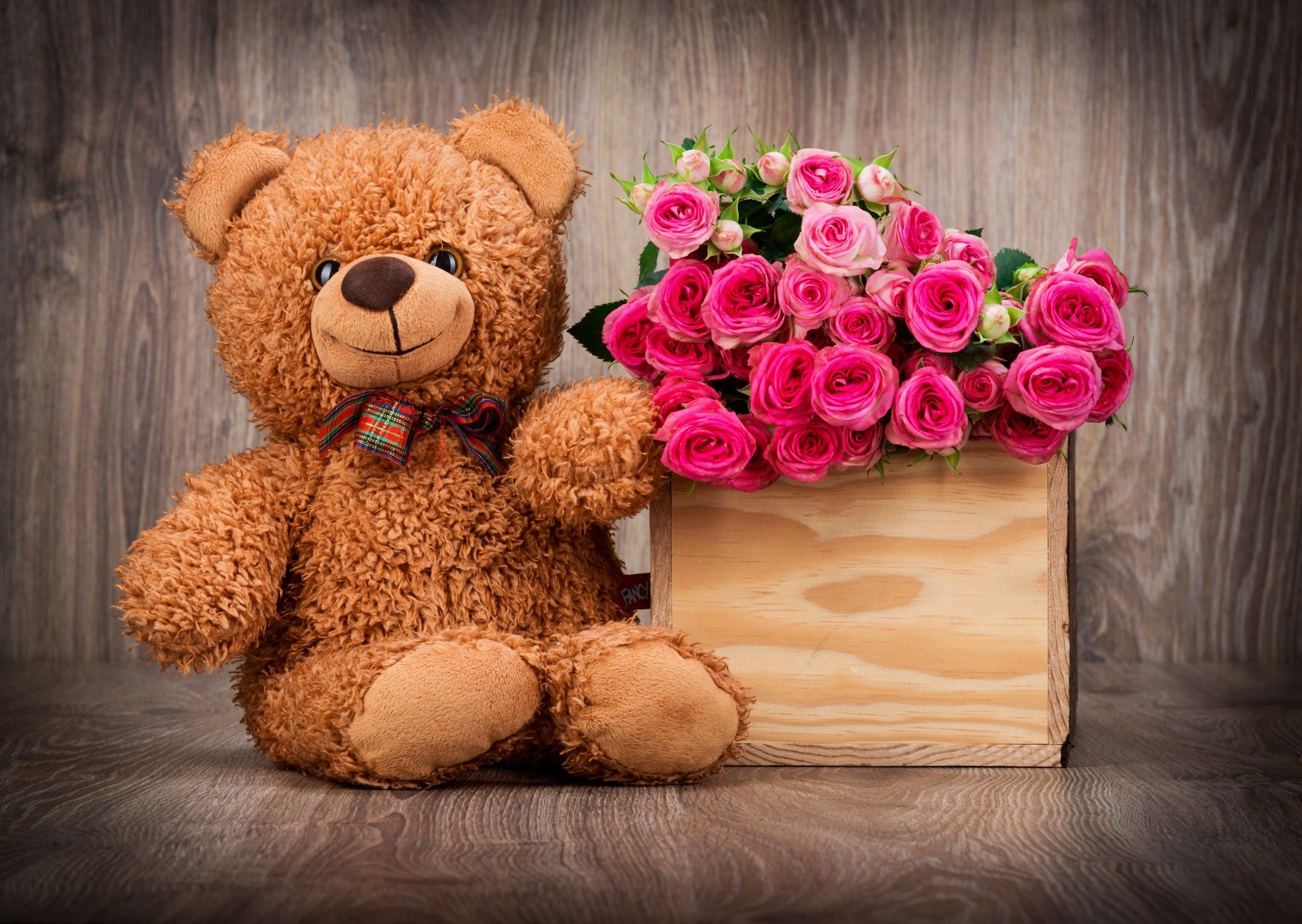 Teddy Bear Wallpapers