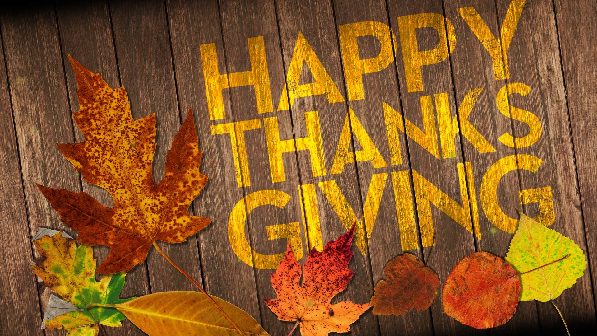 Thanksgiving 1920X1080 Wallpapers