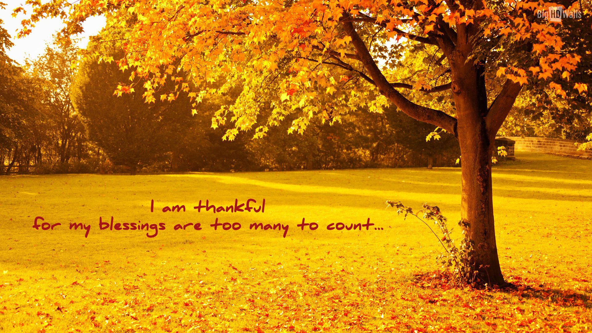 Thanksgiving Blessings Images Free Wallpapers