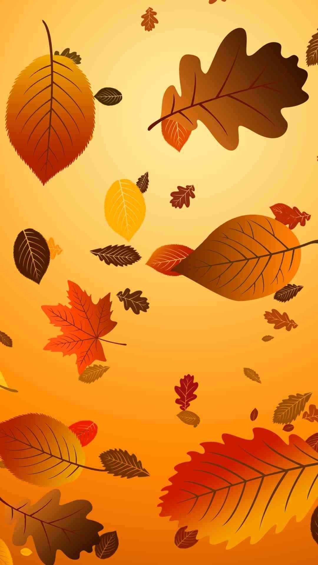 Thanksgiving Cell Phone Wallpapers